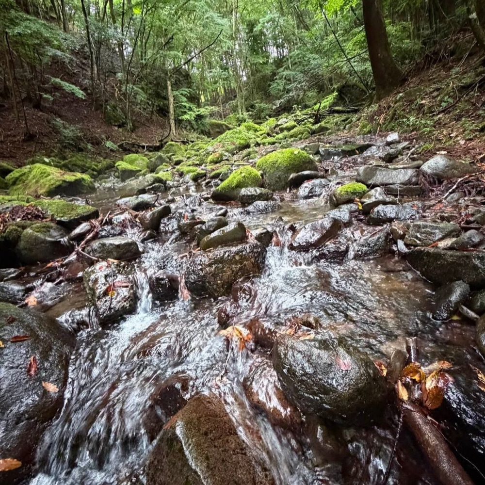 富士山静養園の写真3